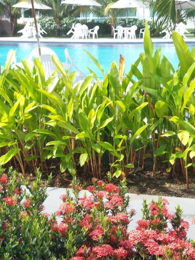 Palm Village Acqua - Apartamento Premium - Em Frente A Piscina - Pôrto das Galinhas エクステリア 写真